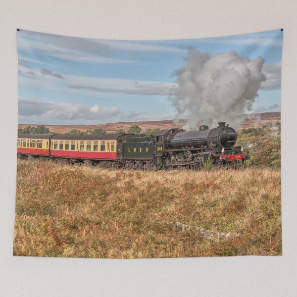 Item preview, LNER Thompson Class B1 Number 1264 Steam Locomotive designed and sold by Steve H Clark.