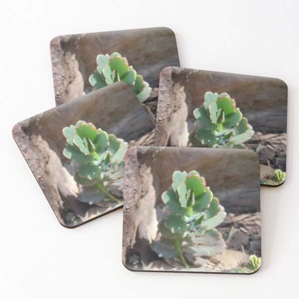 Item preview, Nature Takes Place designed and sold by Darksupplies.