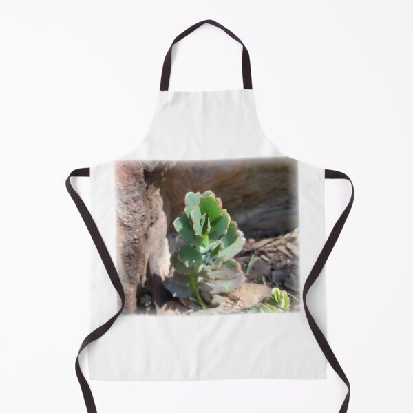 Item preview, Nature Takes Place designed and sold by Darksupplies.