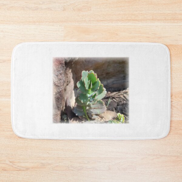 Item preview, Nature Takes Place designed and sold by Darksupplies.