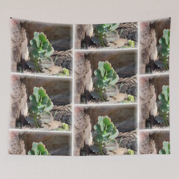 Item preview, Nature Takes Place designed and sold by Darksupplies.