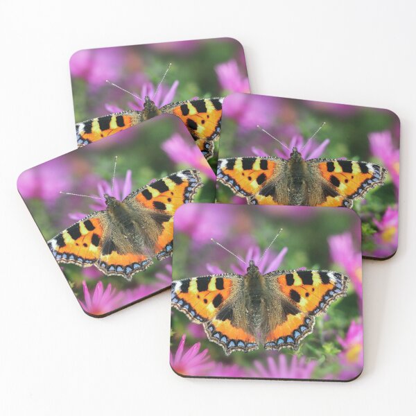 Item preview, Butterfly amongst Michaelmas Daisy. designed and sold by John Ray.
