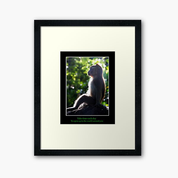 Take time each day Framed Art Print