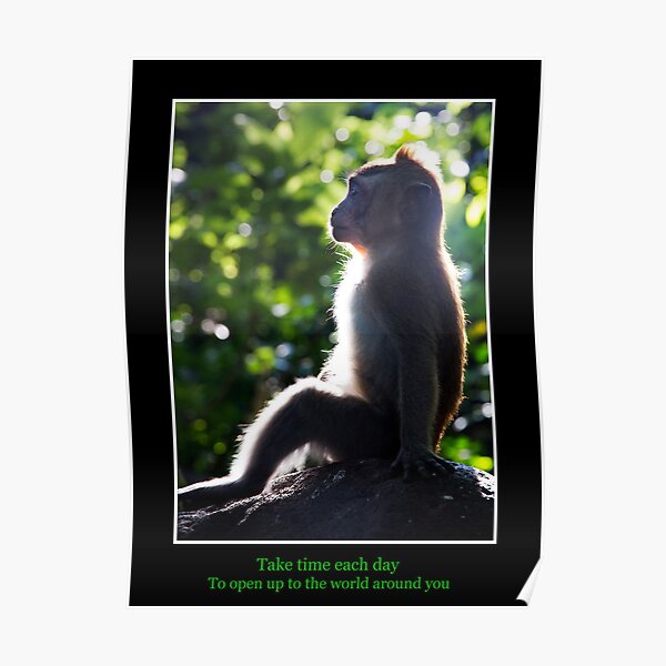 Take time each day Poster