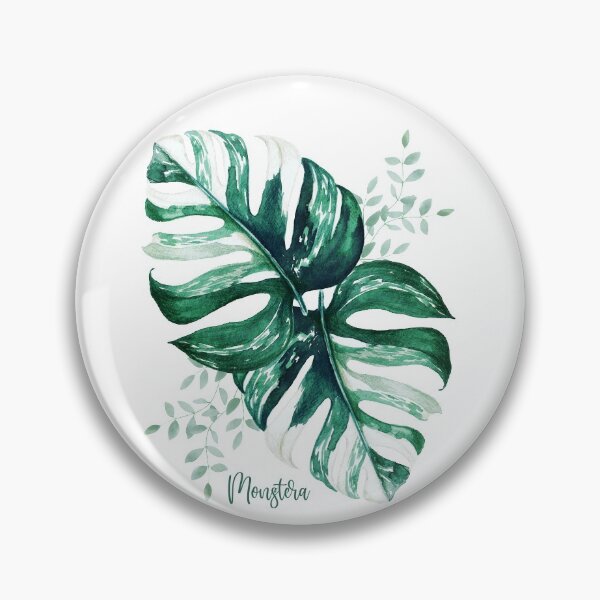 Item preview, Monstera, Variegated Monstera, Monstera Deliciosa, Monstera Plant, Monstera variegated, Monstera variegata designed and sold by nanathaishop.