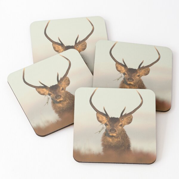 Item preview, Red Deer Stag designed and sold by Macrae images.