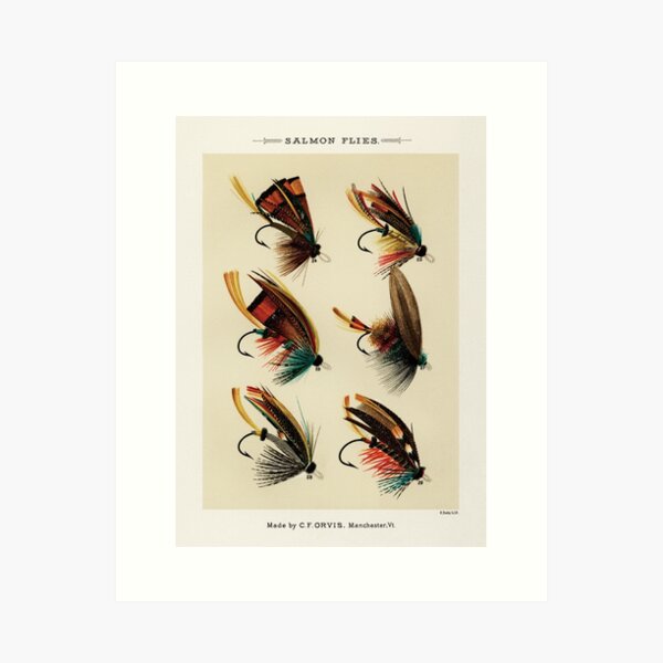 POSTER Carrie Stevens Rangeley Favorite Trout and Salmon Flies  streamers 