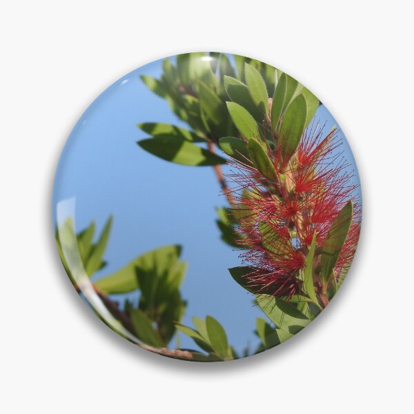 Item preview, Crimson Bottlebrush designed and sold by Quirki.