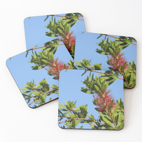 Item preview, Crimson Bottlebrush designed and sold by Quirki.