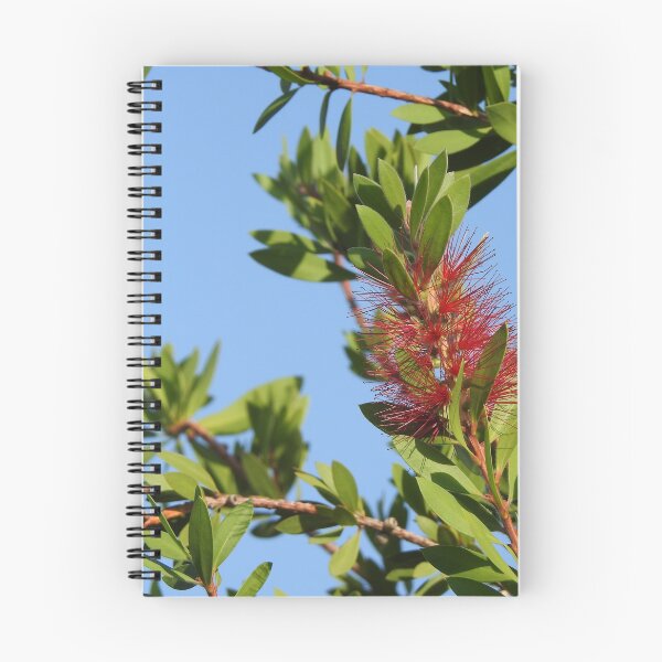 Item preview, Crimson Bottlebrush designed and sold by Quirki.