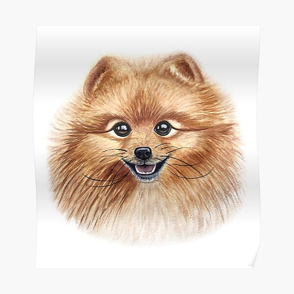 poster spitz redbubble