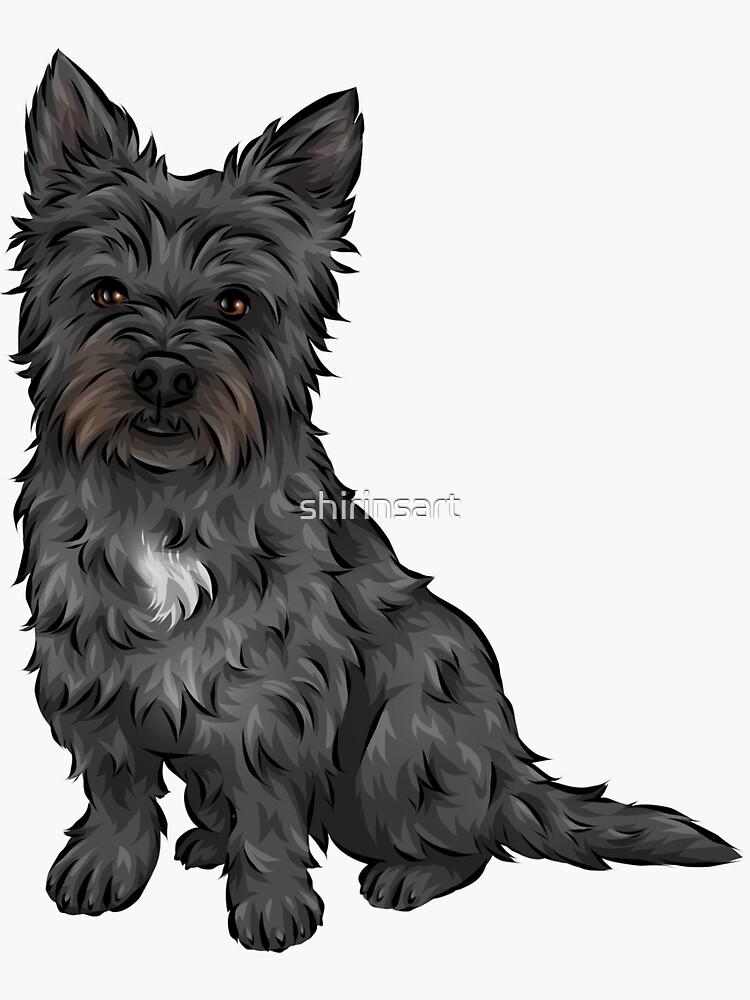 Cairn terrier best sale cute dogs