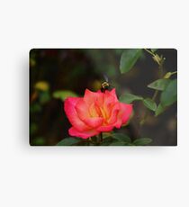 Bumble Metal Print