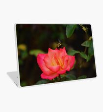 Bumble Laptop Skin