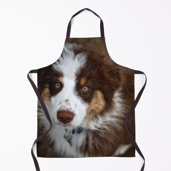 Item preview, Australian Sheppard Puppy designed and sold by Yannik Hay.