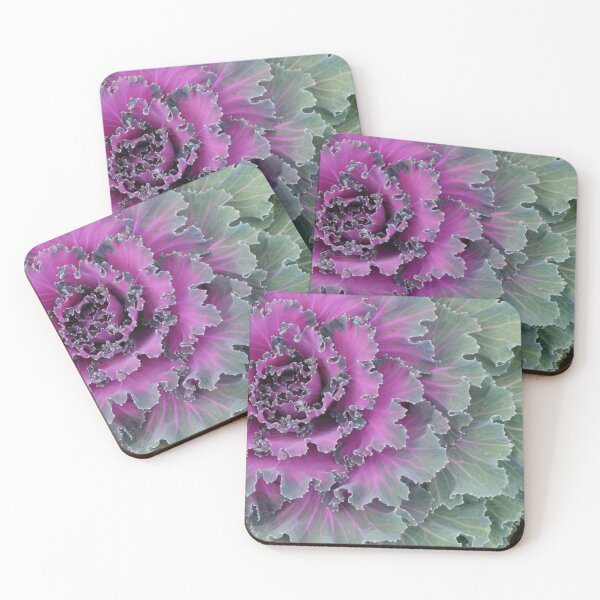 Item preview, Ornamental Cabbage no.1 designed and sold by Geoff Treagus.