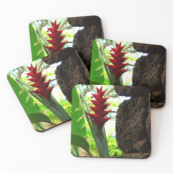 Item preview, Rock and ginger flower in Hawaii designed and sold by Vaengi.