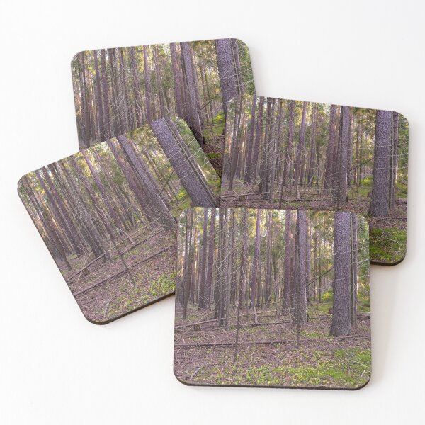 Item preview, Morning sunlight in the fir forest designed and sold by yarvin13.