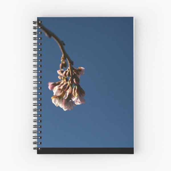 Item preview, Blossom Sky designed and sold by coffeebean.