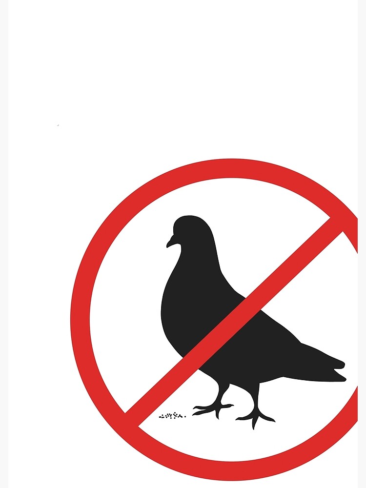 Póster «Ningún signo de pájaro paloma» de prostoposter Redbubble