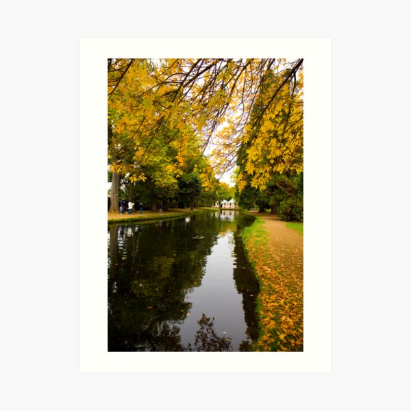 Salmon ponds tasmania , Yellow trees Art Print