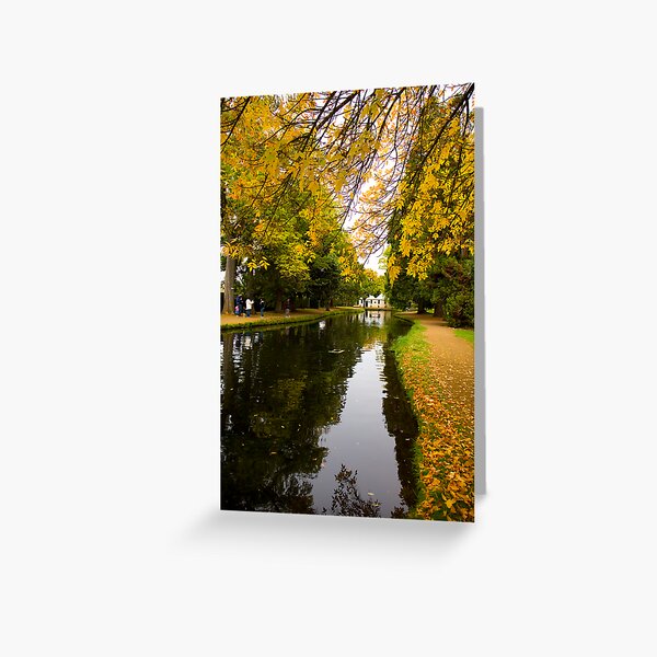 Salmon ponds tasmania , Yellow trees Greeting Card