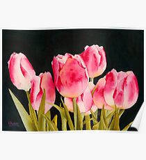Spring Tulips Poster