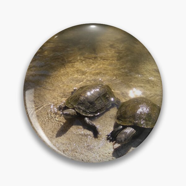 Item preview, Water Turtles Photography Ikaria Island Greece designed and sold by SoccaTamam.