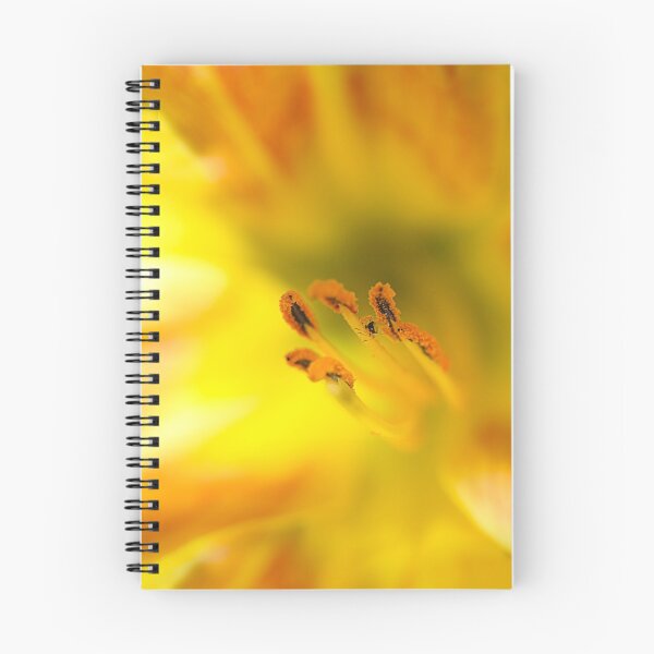Item preview, Fire fly designed and sold by Paul Pasco.