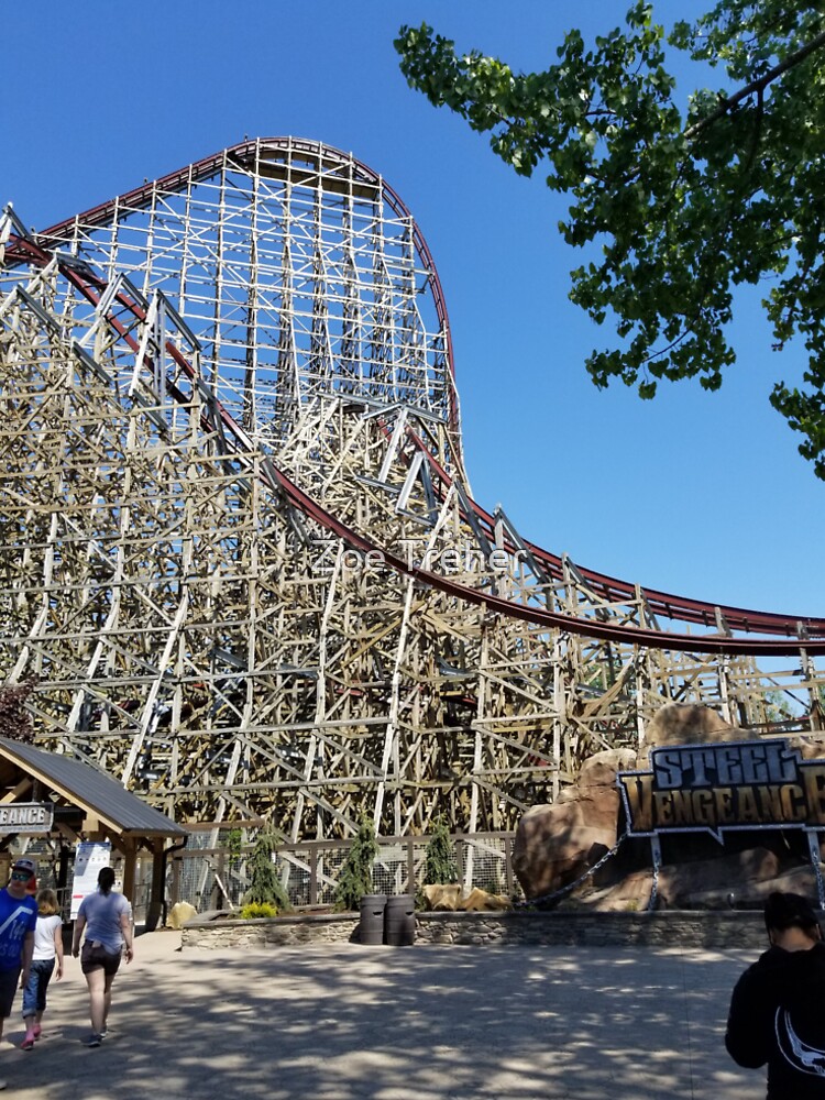 steel vengeance shirts