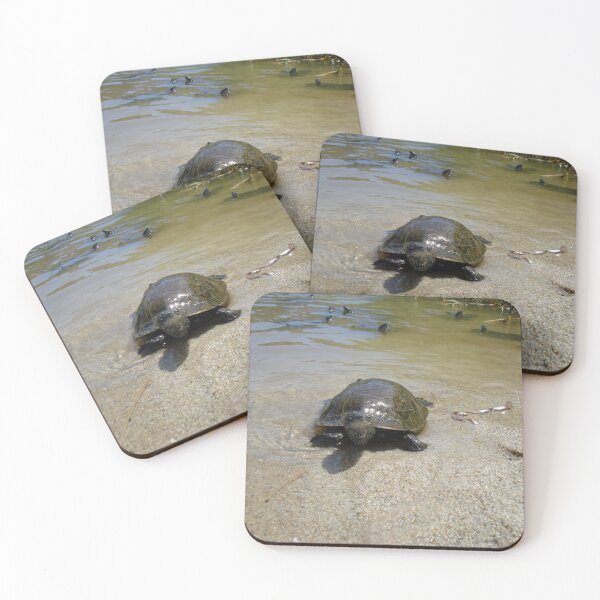 Item preview, Water Turtles Photography Ikaria Island Greece designed and sold by SoccaTamam.