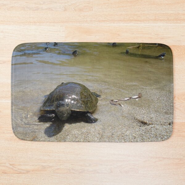 Item preview, Water Turtles Photography Ikaria Island Greece designed and sold by SoccaTamam.