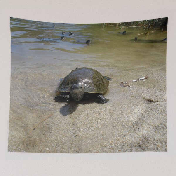Item preview, Water Turtles Photography Ikaria Island Greece designed and sold by SoccaTamam.