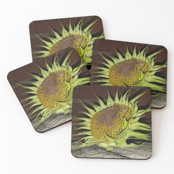 Item preview, Almost Dead Sunflower Head designed and sold by GrudleBay.
