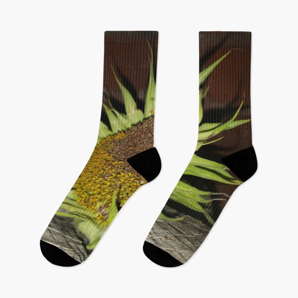 Item preview, Almost Dead Sunflower Head designed and sold by GrudleBay.
