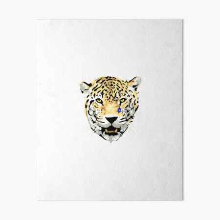African Leopard Cat Cubs in Tree Animal Wildlife Wall Picture 8x10 Art Print 