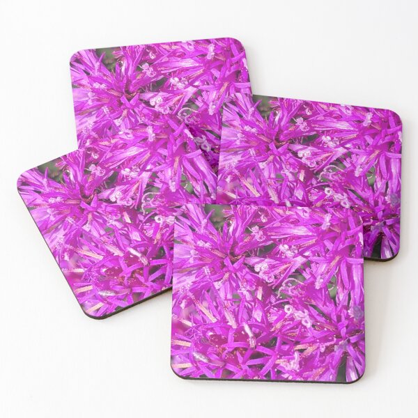 Item preview, Monarda Leading Lady Orchid  designed and sold by Kaushal Pal.