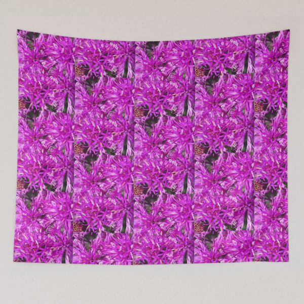 Item preview, Monarda Leading Lady Orchid  designed and sold by Kaushal Pal.