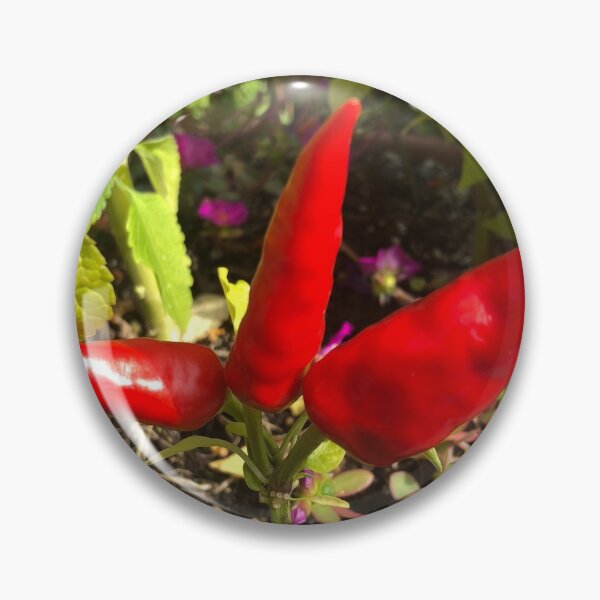 Item preview, Red Chillies Indian Cuisine designed and sold by Kaushal Pal.