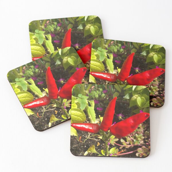 Item preview, Red Chillies Indian Cuisine designed and sold by Kaushal Pal.