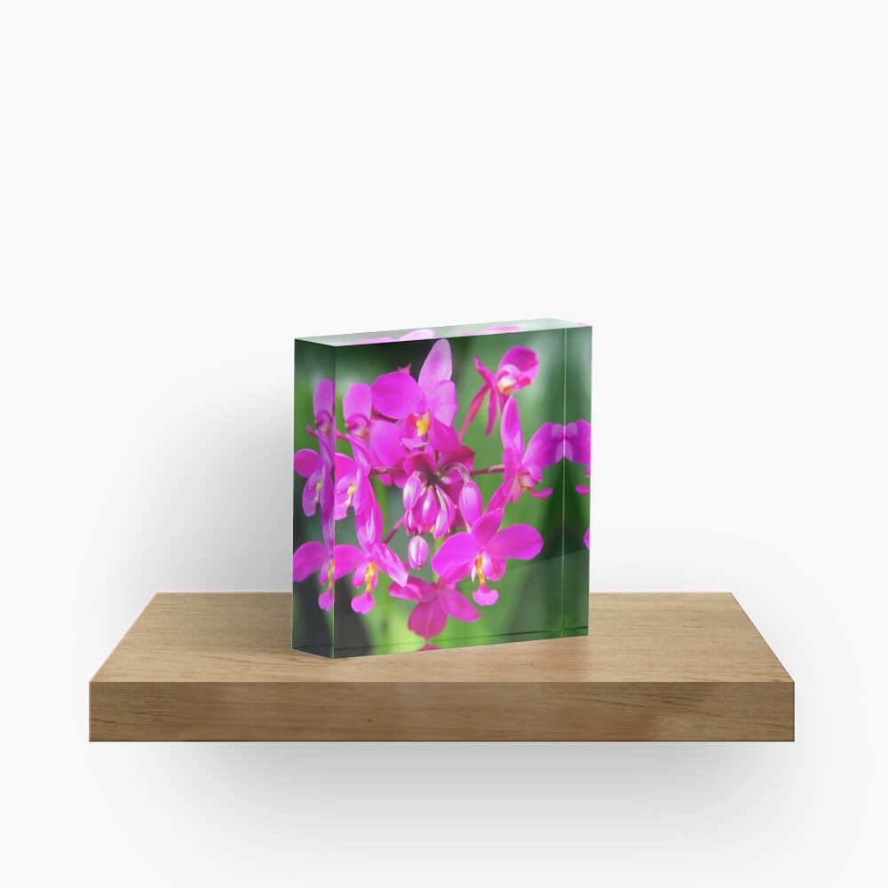 Item preview, Acrylic Block designed and sold by OurBarbados.
