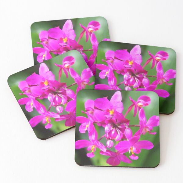 Item preview, Pretty in Purple designed and sold by OurBarbados.