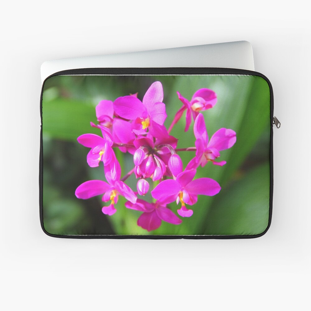 Item preview, Laptop Sleeve designed and sold by OurBarbados.
