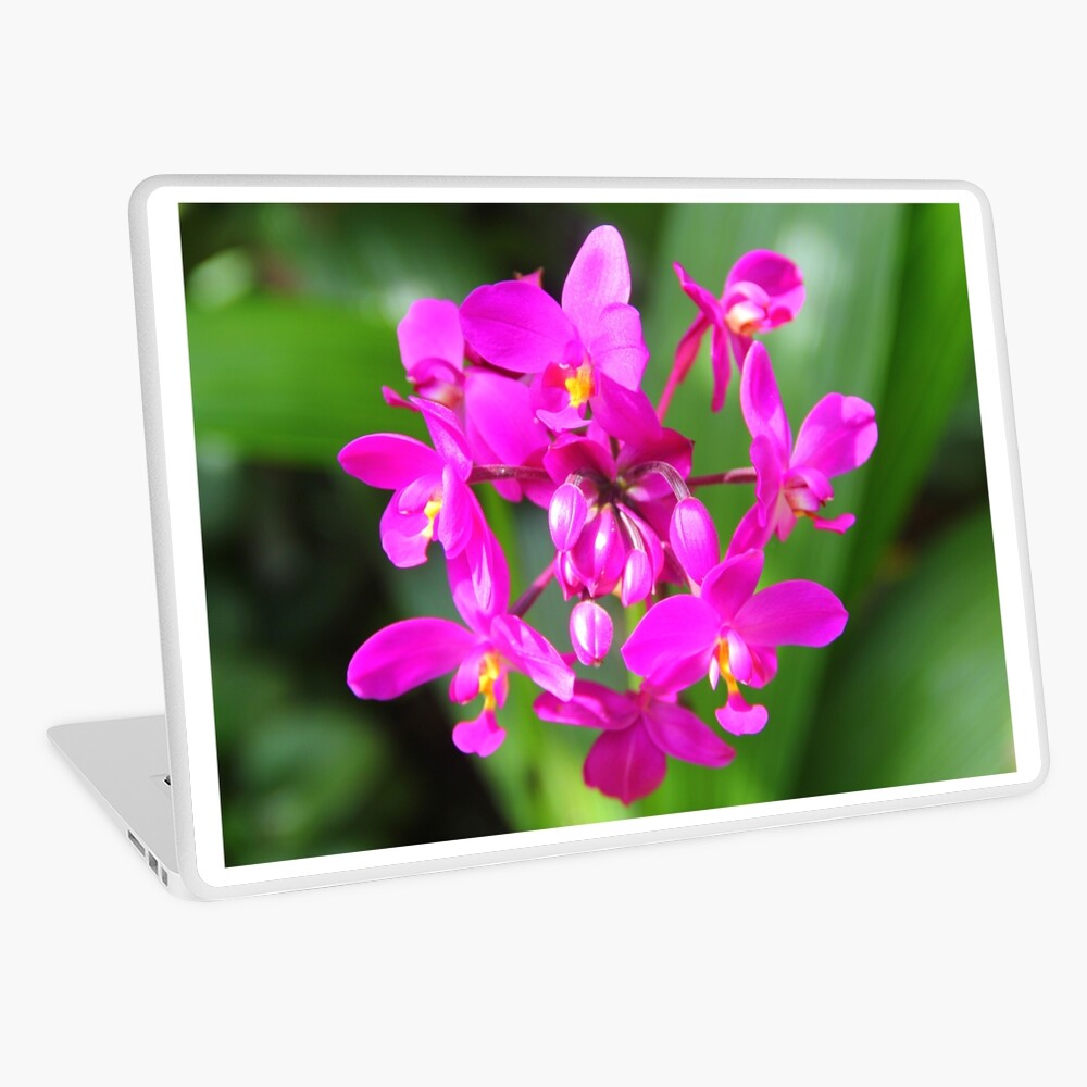 Item preview, Laptop Skin designed and sold by OurBarbados.