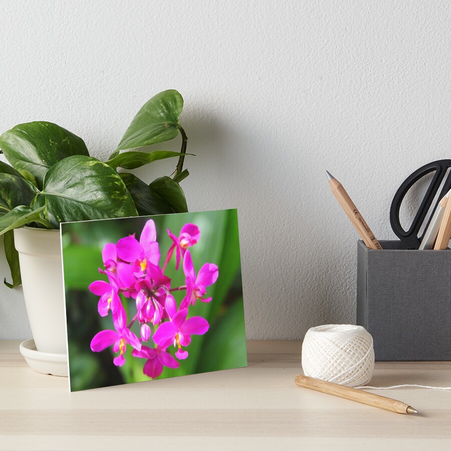 Item preview, Art Board Print designed and sold by OurBarbados.