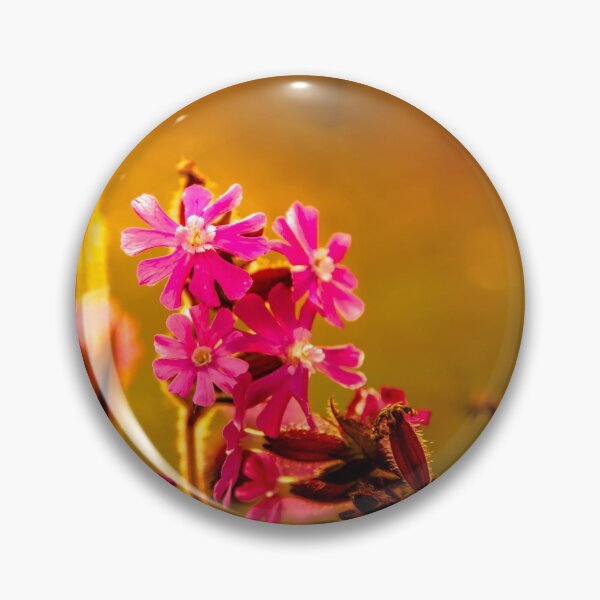 Item preview, Pink flowers and sunset photography designed and sold by Stéphane  Thirion.