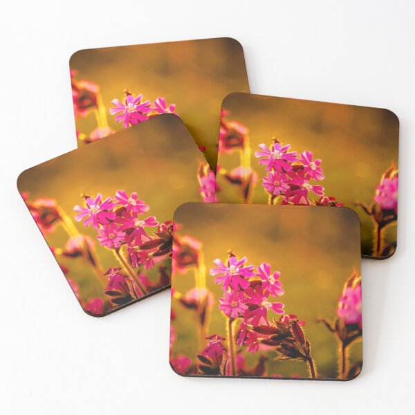 Item preview, Pink flowers and sunset photography designed and sold by Stéphane  Thirion.