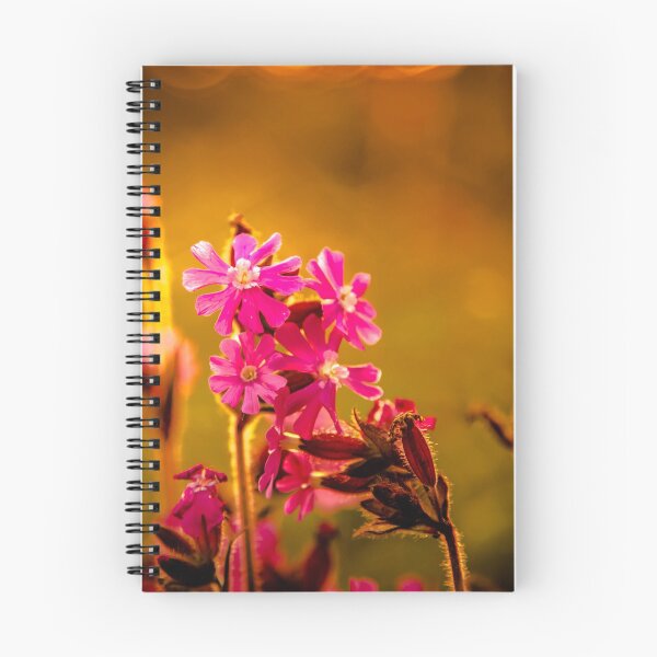 Item preview, Pink flowers and sunset photography designed and sold by Stéphane  Thirion.
