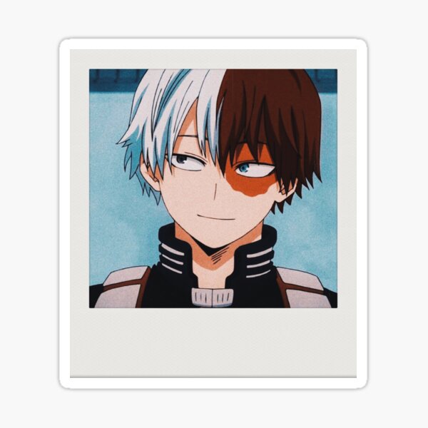 Shoto Todoroki Polaroid Sticker