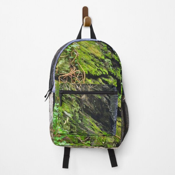 falls raven backpack